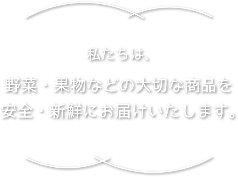 私たちは、青果物の取り扱いが得意な運送会社です。NO VEGETABLES,NO LIFE